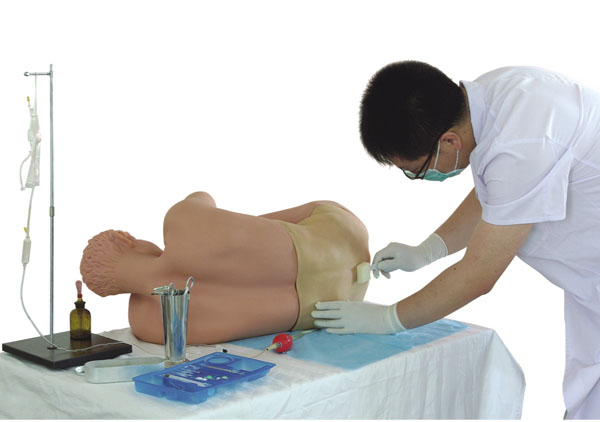 腰椎穿刺模型