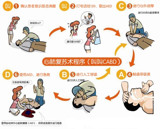 心肺復(fù)蘇訓(xùn)練示意圖